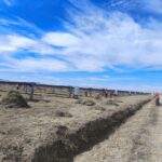 WhatsApp Image 2026-02-03 at 9.19.28 AM (1)