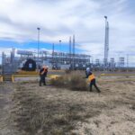 WhatsApp Image 2026-02-03 at 9.19.28 AM