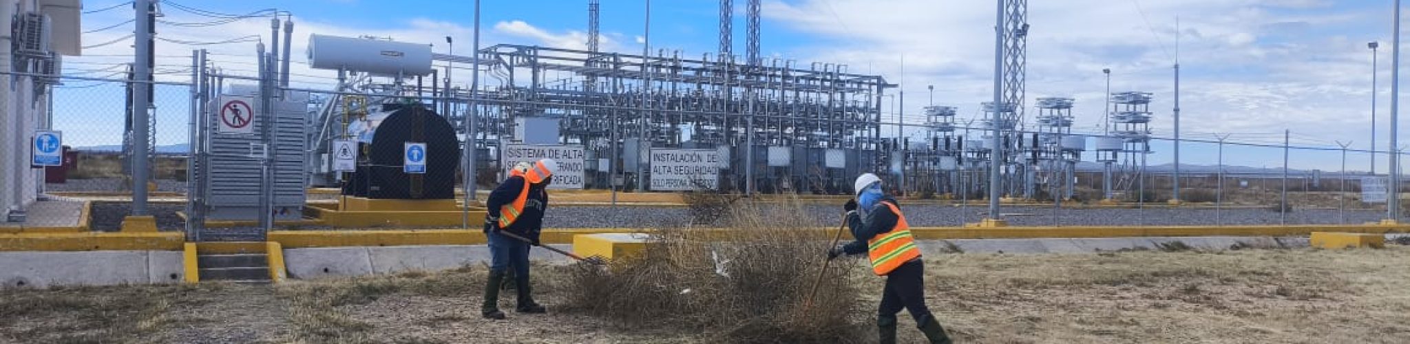 WhatsApp Image 2026-02-03 at 9.19.28 AM